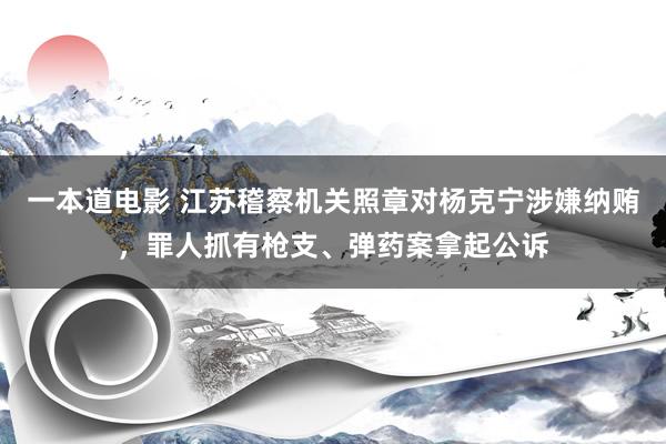 一本道电影 江苏稽察机关照章对杨克宁涉嫌纳贿，罪人抓有枪支、弹药案拿起公诉