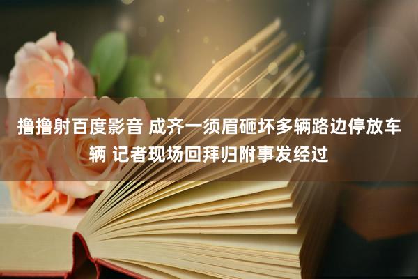 撸撸射百度影音 成齐一须眉砸坏多辆路边停放车辆 记者现场回拜归附事发经过