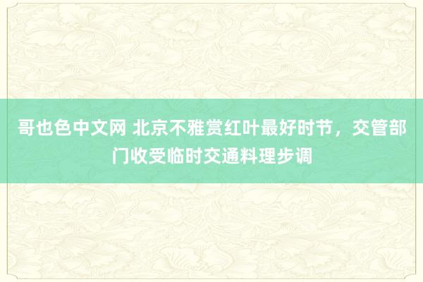 哥也色中文网 北京不雅赏红叶最好时节，交管部门收受临时交通料理步调